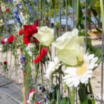 Bloemenzee ter herdenking van 4 mei op het Berlijnplein Leidsche Rijn Utrecht